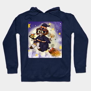 little candy corn witch Hoodie